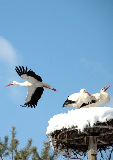 Parcs naturels et jardins